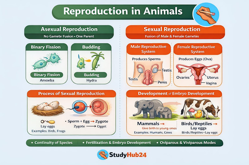 Sexual Reproduction